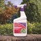 Bonide Products Bonide Systemic Spray Insect Killer Liquid 32 oz 939 - alternate 3